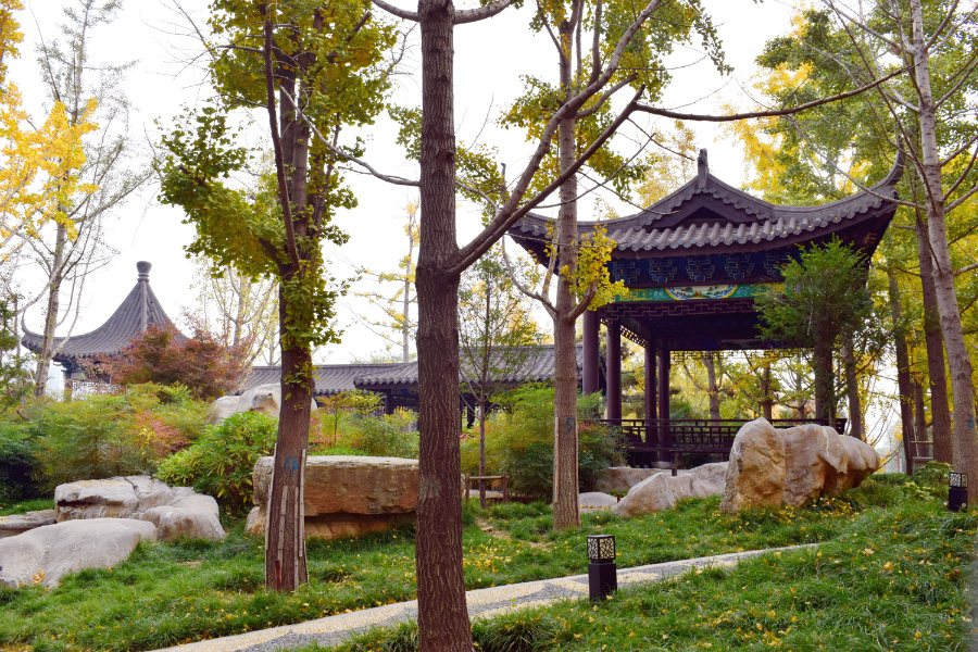 DSC_1133.jpg