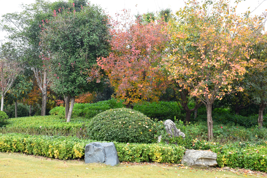 DSC_1131.jpg