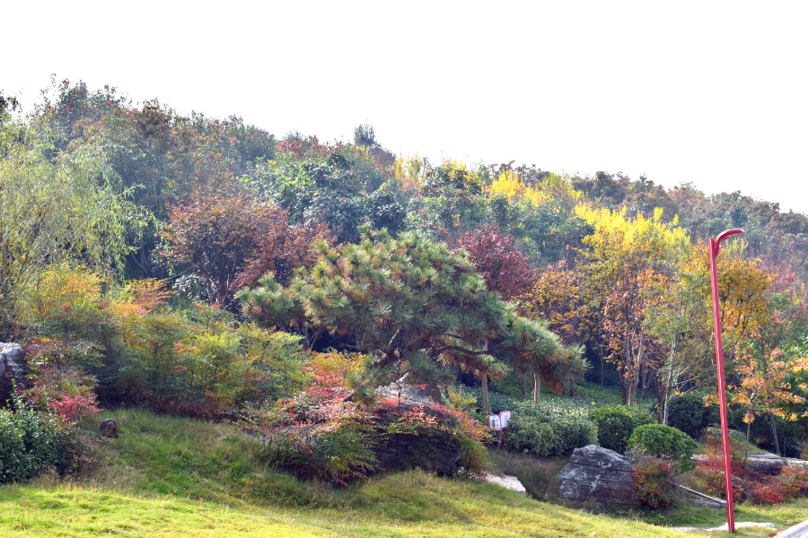 DSC_1177.jpg