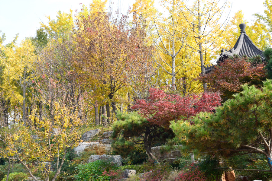 DSC_1179.jpg