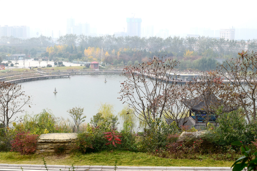 DSC_1244.jpg