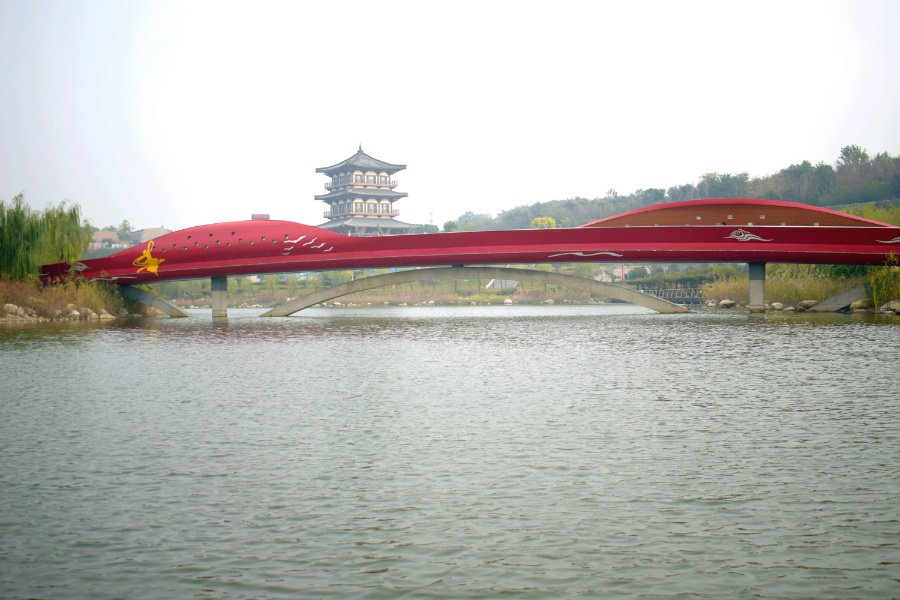 DSC_1313.jpg