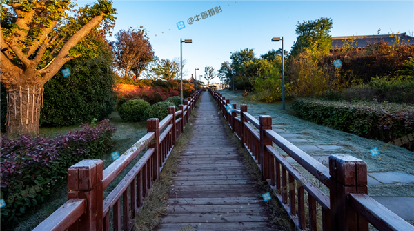 125134gwbh2qvb2mht722c_����.png