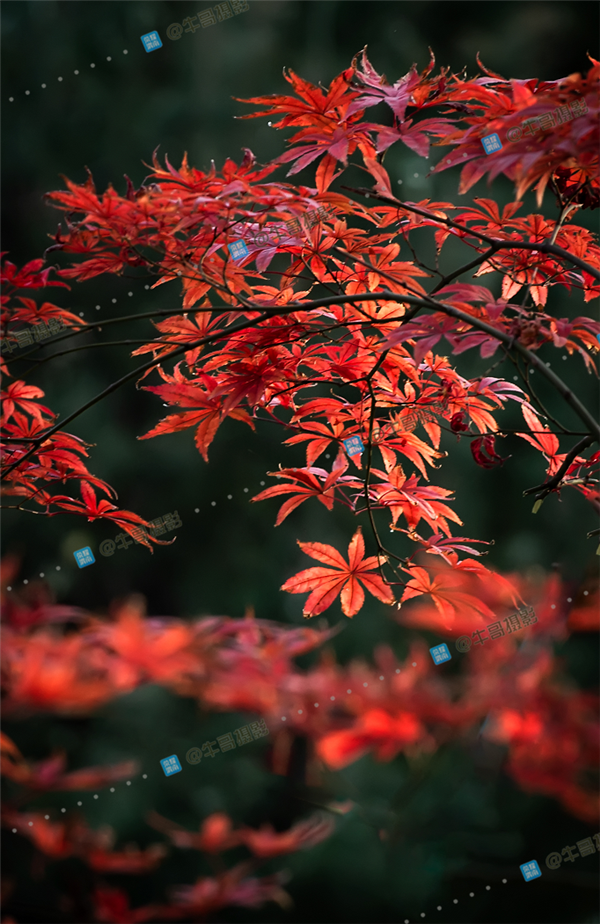 112925fxy8xxq67665u5x7_.png