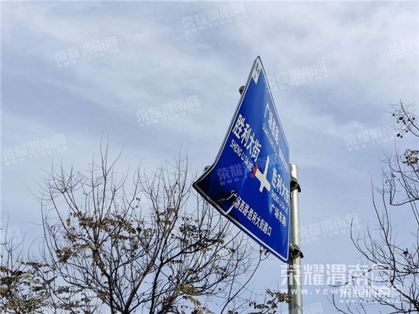 134908gl2s6rz1515s1ten_����.jpg