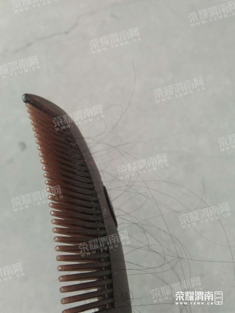 074754ylltcepcttatrzlc.jpg