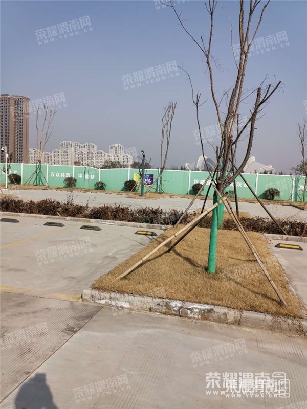 105653ef3vd3g2gv5mv0vx.jpg