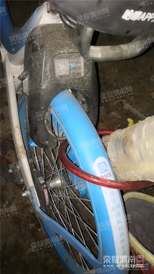 050828ajyv5cdv5yb2sjiv_����.jpg