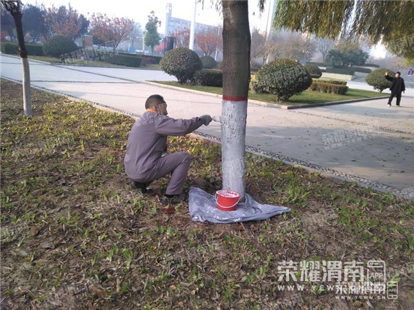 140230bo6jhe83ol8ph6yo_����.jpg