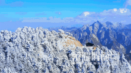 bce99302ly1gwbc7rcqoyg20u00go7wi.gif