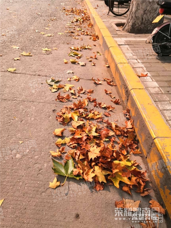 074759jkw1u1fdpzjocpw1_����.jpg