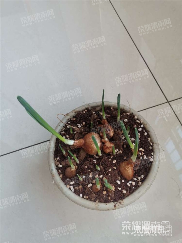 092531tffm2g2ggf1cpoi9_����.jpg