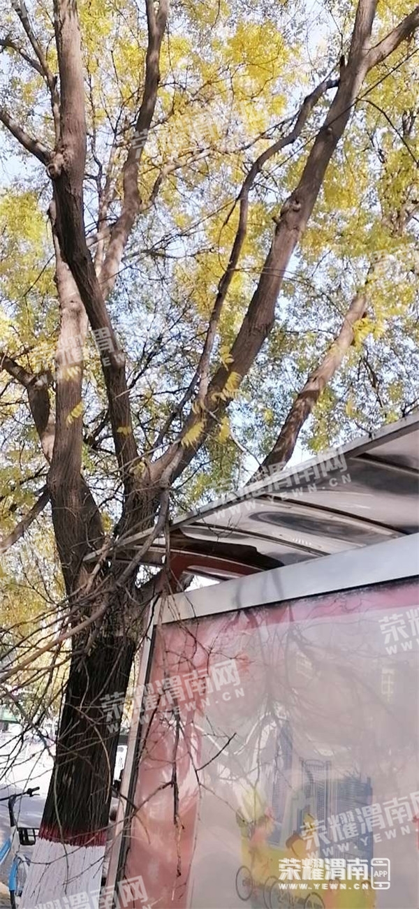 124039j7j7schv8e3etvtc.jpg