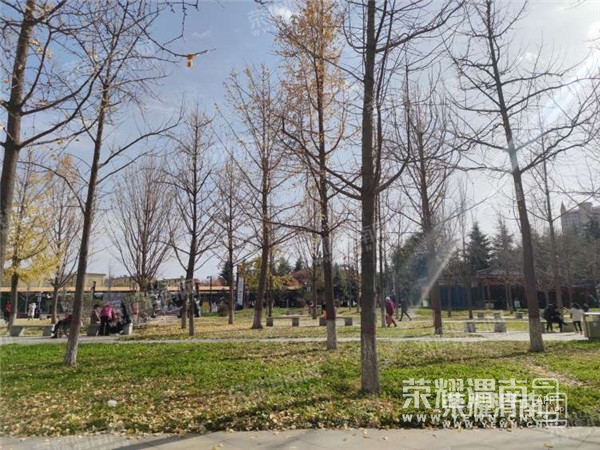 131854t337y7ww1y17731h_����.jpg