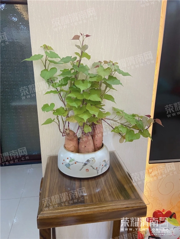 161841yztv1pgegqgmzlmt_����.jpg