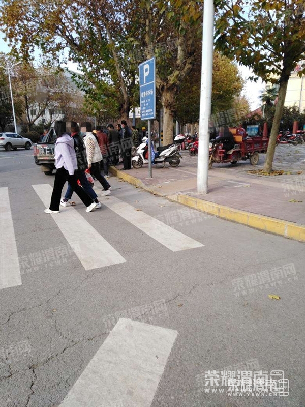 155359vlv2lln8elha8voo_����.jpg