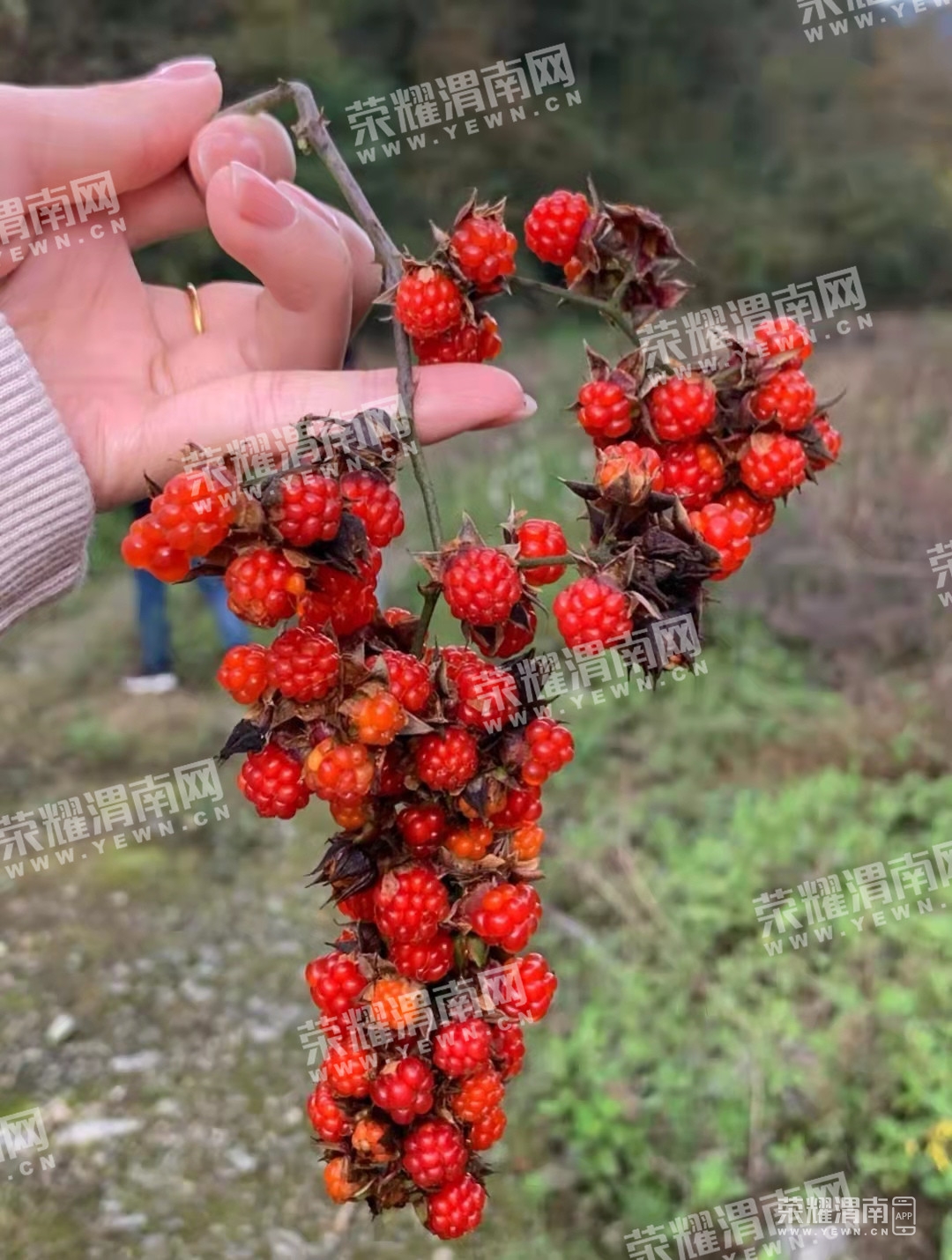 ΢��ͼƬ_20211122170339_����.jpg