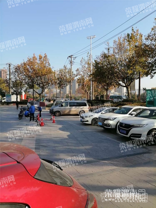 161838gjrpcwp7liss7yyl.jpg