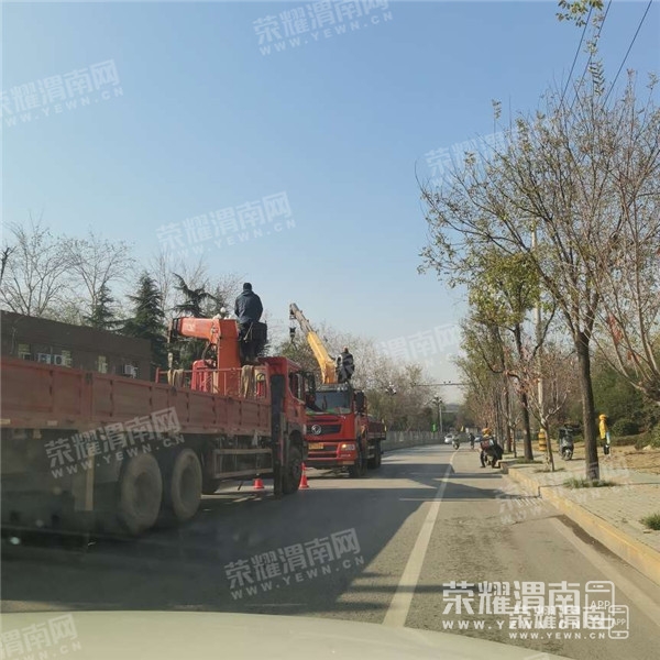 113620t84unzluqrc6do49.jpg