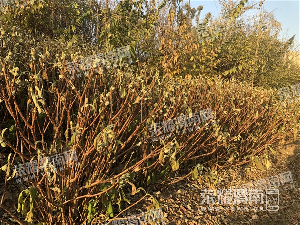 ΢��ͼƬ_20211125172011_����.jpg