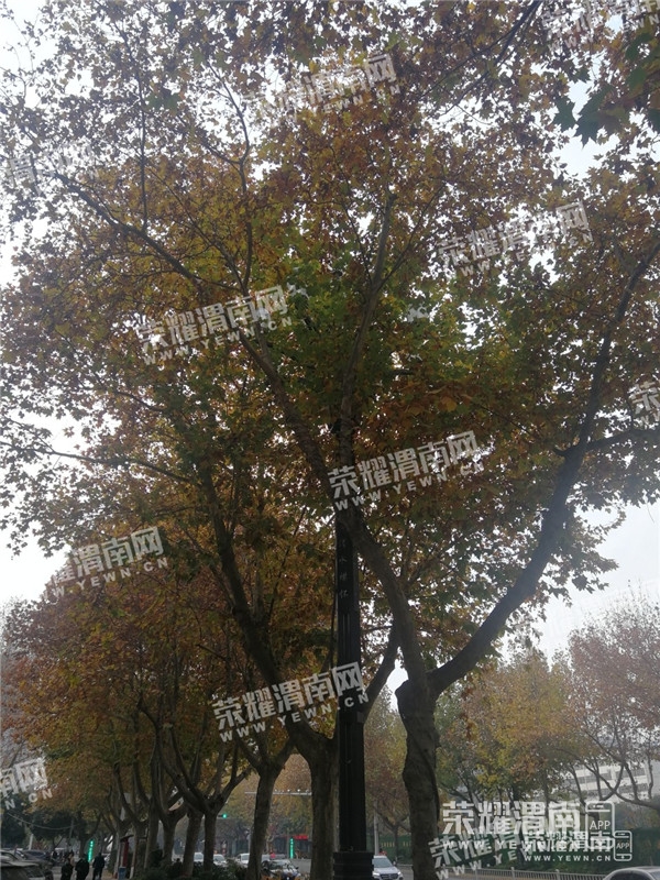 142452dmqf9plptz7lcmtc.jpg