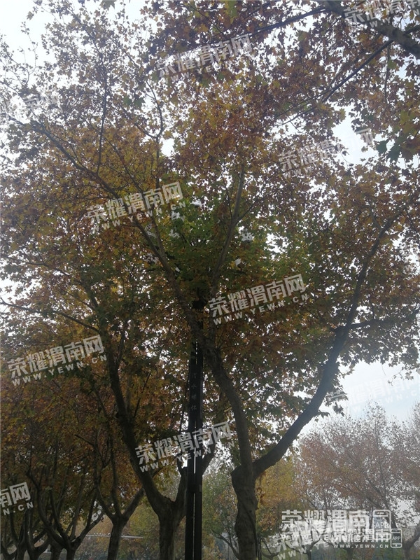 142452irrr0p9gaae8cr4x.jpg