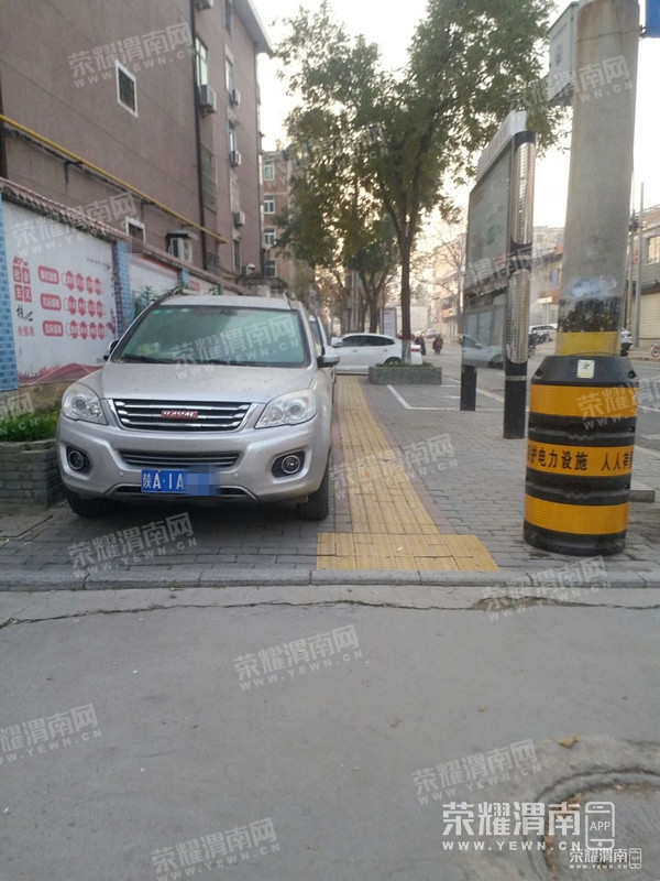 151947l25pi52565hpe2pz.jpg