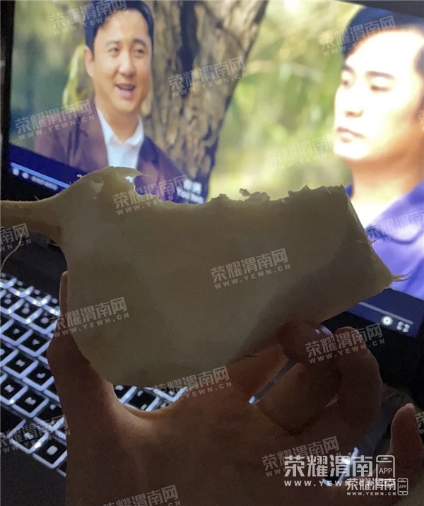 161823ibg00psppgsfz16s_����.jpg