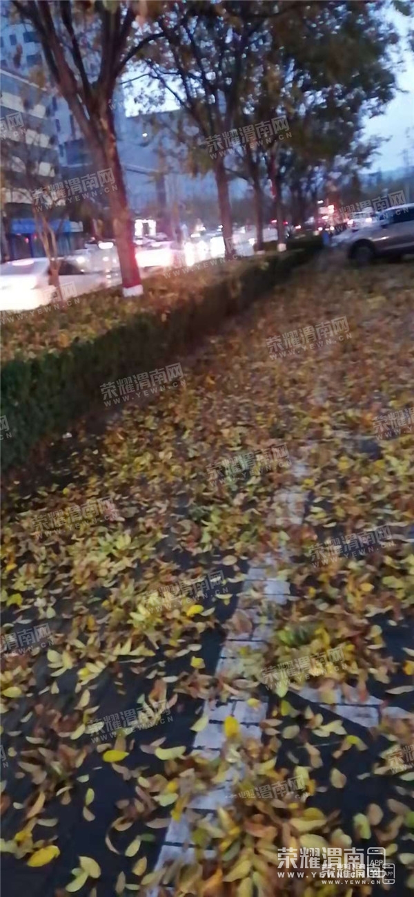 084530r3zkk3mmysyzd8kf.jpg