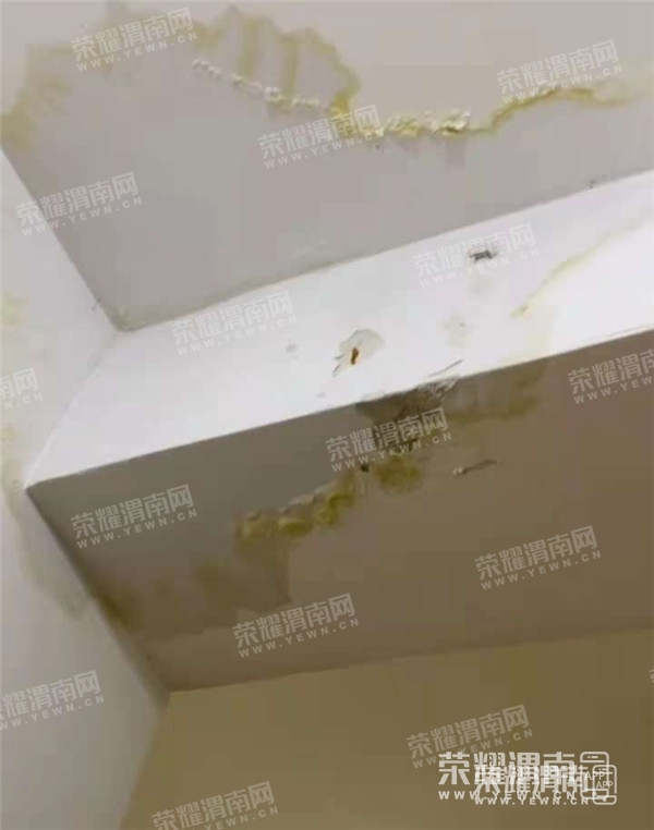 220914czjttpjpjp3325jk.jpg