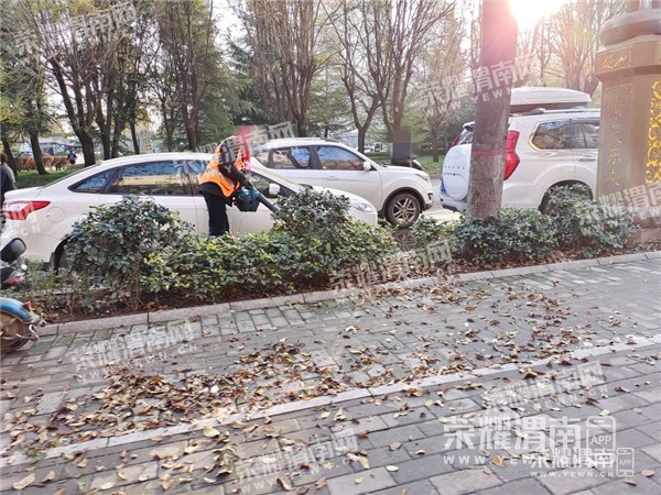 085624c84h8hyogyzkq9qs.jpg