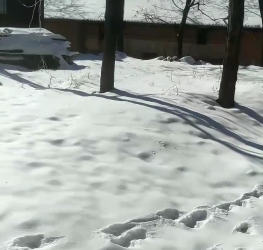 ��ͼ20211130161230.png