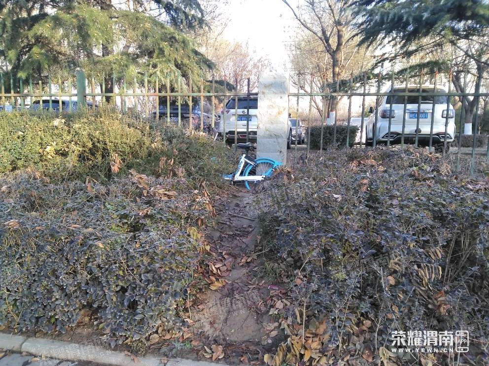 110934dazkaz3ejer9k3o9_����.jpg