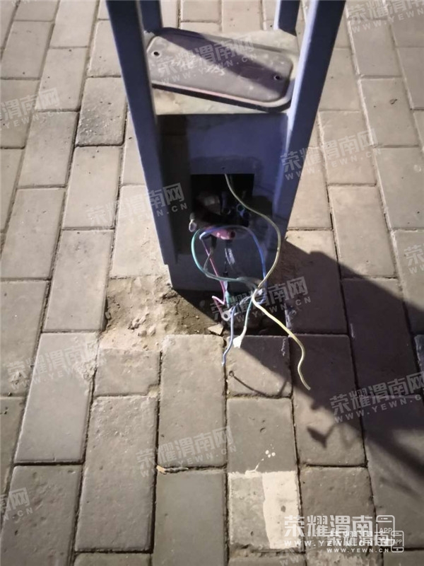 123243cx7wxl52xzxdic38_����.jpg
