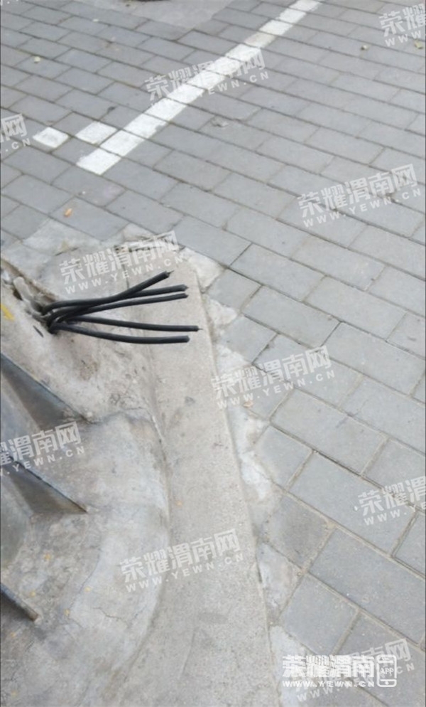 084342hjkh63thb3b6b272_����.jpg