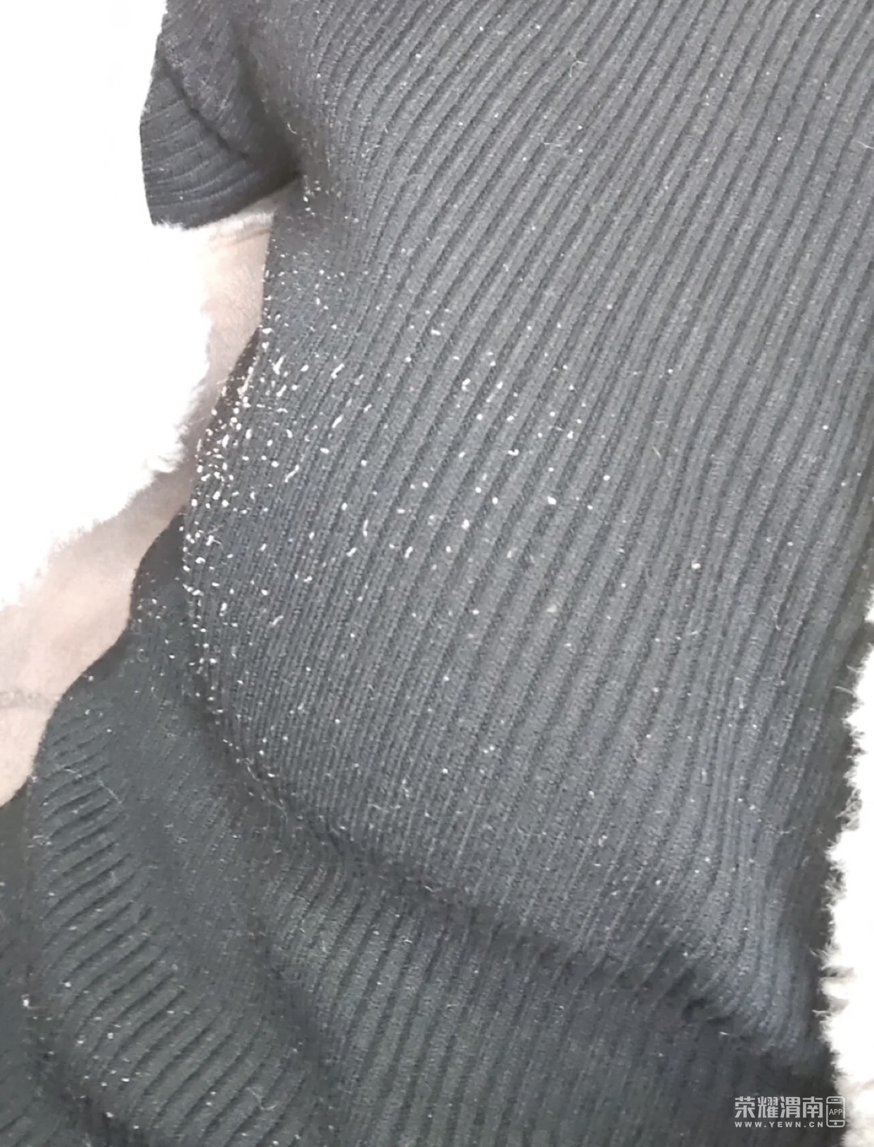 front1_0_258091_FqnVjBjUhKp3k5SJME9aJrIHMGoV.1638785005_18_03_30.jpg