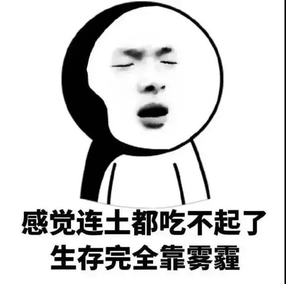 170846ruqnc2ums7mt8unq.jpeg