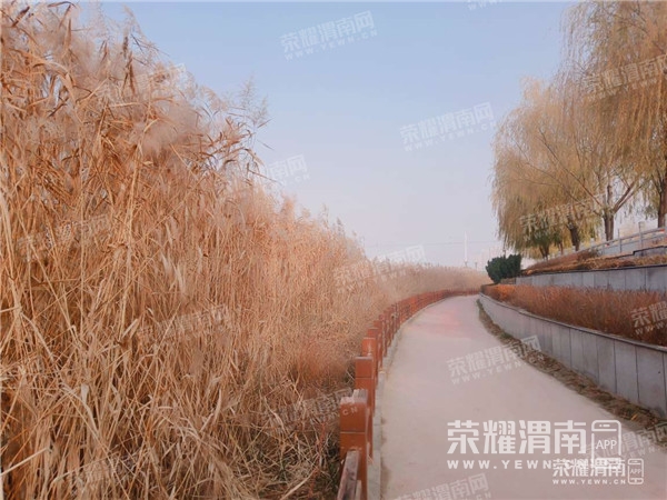 111208vjgdbk70jpp3yrzf_����.jpg