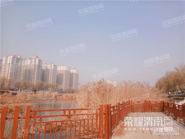 111210fj5woolwkbfrb0j5_����.jpg