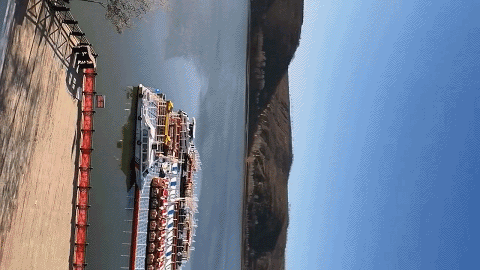 6.gif