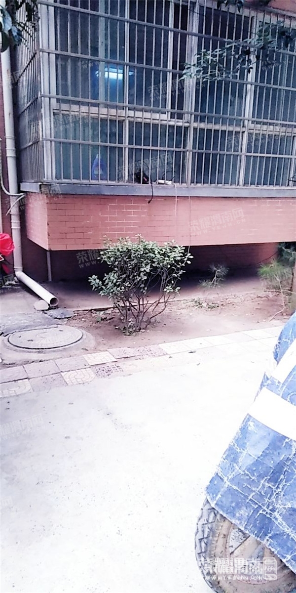 094603xflddgdhw1nhg919_����.jpg