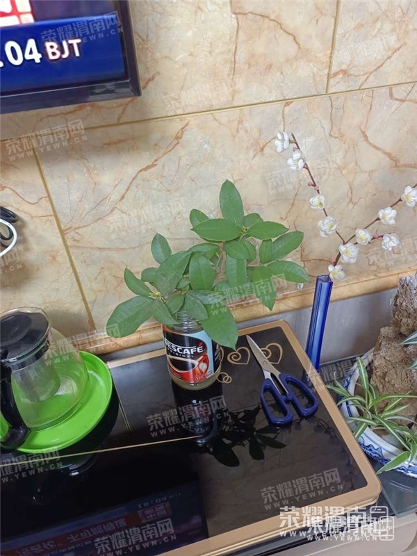 181547j2z2dzb2dbqq8hbu_����.jpg