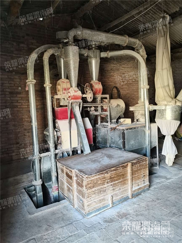 091947dalgtk6kig2tyh6w_����.jpg