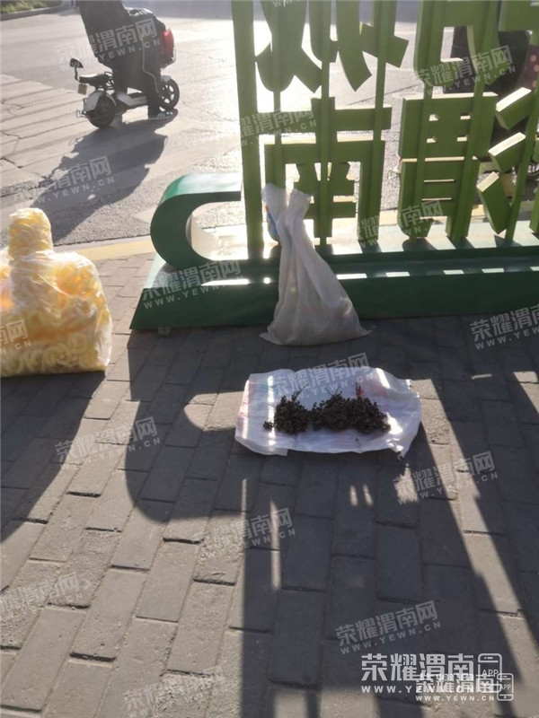 124735qyvy99w6b76gn6py_����.jpg