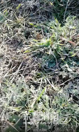 ��ͼ20211221141932.png