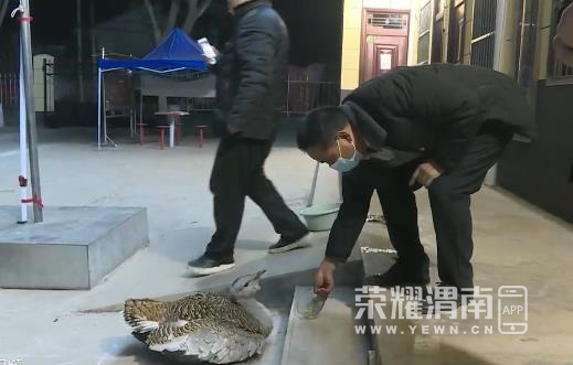 110058ooe55e58vtle82cr.png