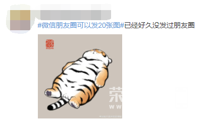 174231xh5qh0lrxzh05whw.png