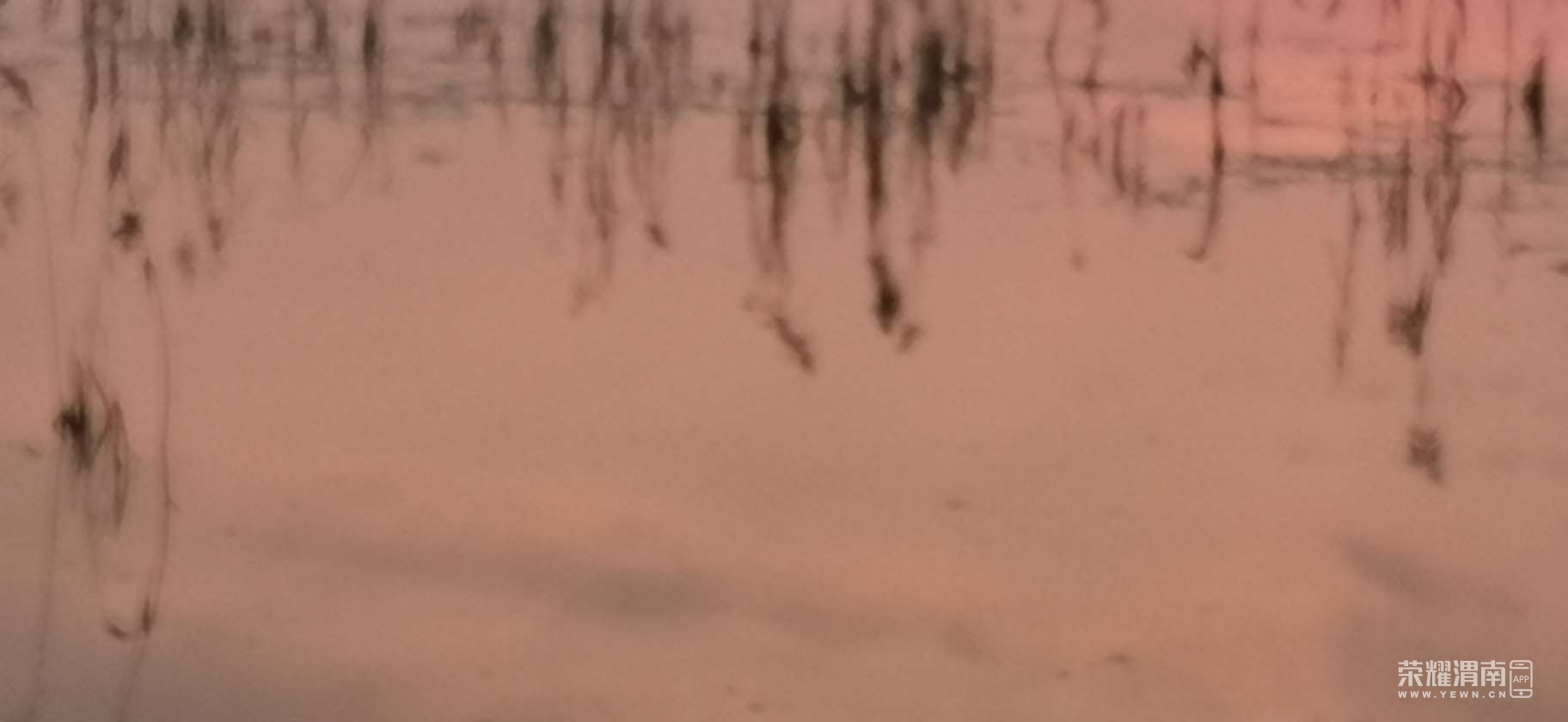 20220204115449front2_0_192931_FpHgZLZiTemzm_X4OMSZWJTGHn2a.jpg
