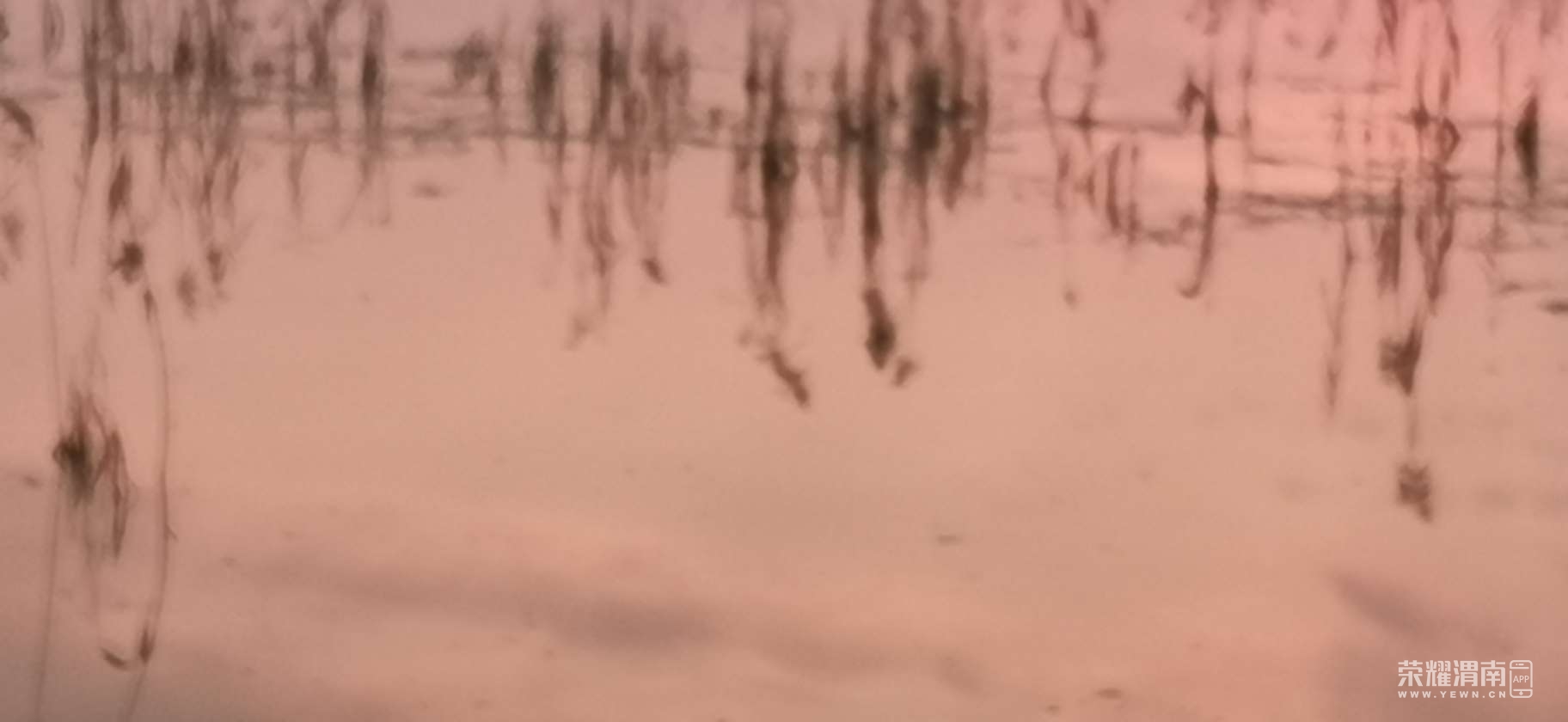 20220204115449front2_0_192931_FlaeGfmV8JmDtSyNrxGEiBzSSN_s.jpg