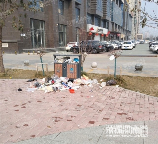 140650qfyh5ymyvyzacamp.jpg